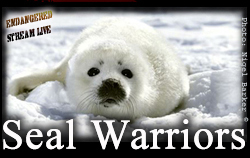 Seal Warriors BNR Small